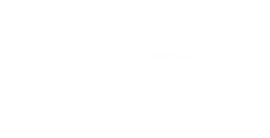 SIMPLETaste logo (light version)
